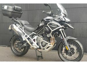 TRIUMPH TIGER 2024