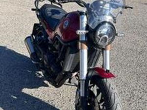 BENELLI LEONCINO 500 .