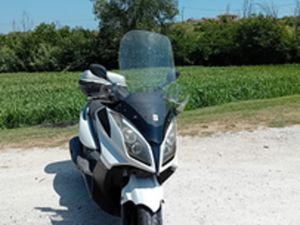 SCOOTER KIMCO 300