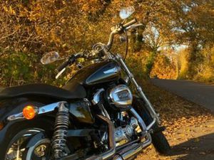 HARLEY-DAVIDSON SPORTSTER XL 1200 CUSTOM ORIGINAL!!