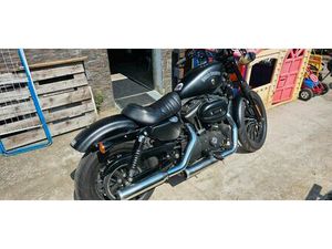 HARLEY-DAVIDSON 883 IRON