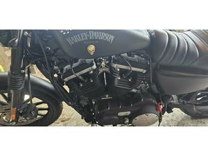 HARLEY-DAVIDSON SPORTSTER XL 883 N IRON