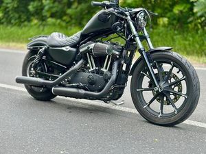 HARLEY DAVIDSON IRON 883