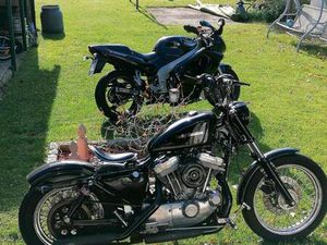 HARLEY DAVIDSON SPORTSTER 883 EVTL. TAUSCH G. TRANSPORTER