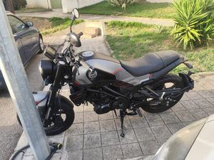 VENDO BENELLI LEONCINO RIO TINTO