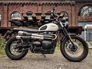 TRIUMPH STREET SCRAMBLER 900 CUSTOM UNIKAT & SCHECKHEFT GEPFLEGT