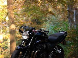 SUZUKI BANDIT GSF 650 WVB5 ABS / 48 PS MÖGLICH