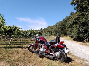 OCCASION SUZUKI INTRUDER VS 1400