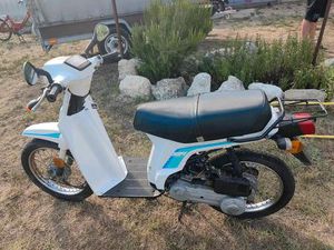 HONDA SCOOPY SH 50.