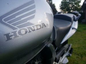 HONDA CBF 600 PC 38 MIT ABS UND GARMIN NAVI