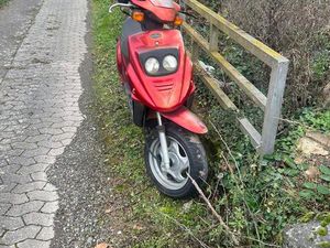 PEGASUS SKY 50 ABHOLUNG KOBLENZ ‼️