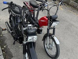 MOFA PONY GTX UND CROSS CANTON ZURICH -