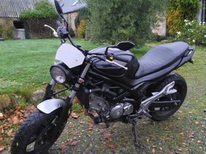 SUZUKI SFV 650 GLADIUS TYPE SCRAMBLER