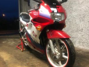 600 CBR PC25