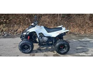 VDS QUAD ADLY ATV-A320S 2013 3800 KMS