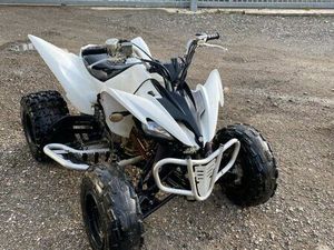 250 RAPTOR HOMOLOGUÉ