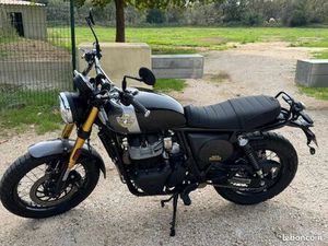 ROYAL ENFLIED 650 BEAR