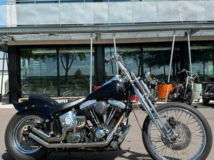 HARLEY DAVIDSON SPRINGER SOFTAIL