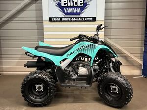 YAMAHA YFM 110 R RAPTOR