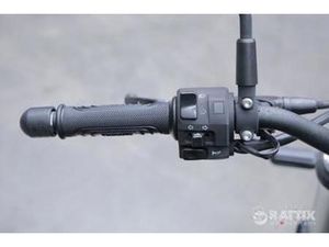 BENELLI LEONCINO 500