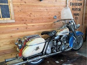 HARLEY DAVIDSON PANHEAD SURVIVOR