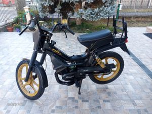 FIFTY HF 50 CONSERVATO