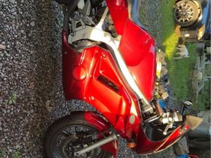 SUZUKI GS500 E SPORT *LIMITED EDITION*