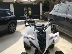 QUAD RAPTOR 350 - HOMOLOGUE - ENTRETENU