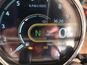 ROYAL ENFIELD BEAR - 2025