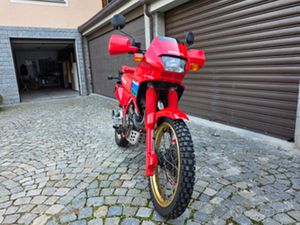 HONDA NX 650 DOMINATOR - RD02