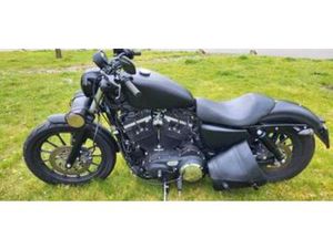SPORTSTER 883 2013 — MOTOREN | HARLEY-DAVIDSON — MARKTPLAATS