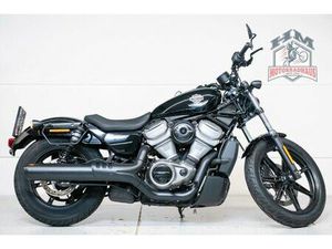 HARLEY-DAVIDSON NIGHTSTER 975