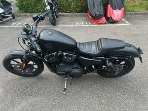 HARLEY DAVIDSON XL883 IRON SCHWEIZ