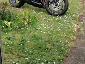 TRIUMPH STREET TRIPLE 660S A2