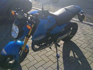 HONDA, MSX, 2024, 125 (CC)