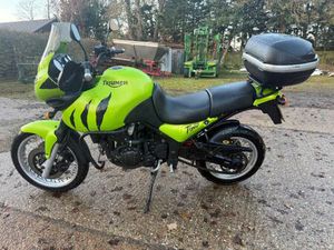 TRIUMPH, TIGER, 2001, 955 (CC)