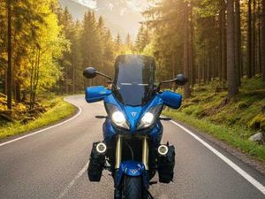 TRIUMPH TIGER 1050 DZIERŻONIÓW