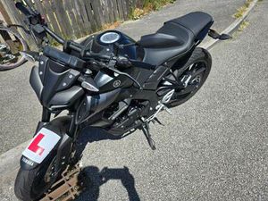 YAMAHA, MT-125, 2023, 124 (CC)