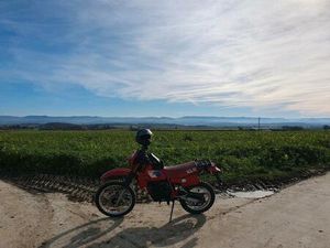 KLR 250 D (ZYLINDER MIT KOLBEN NEU)