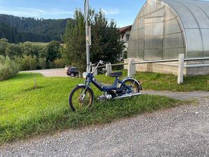 PUCH MAXI N CANTON ZOUG -