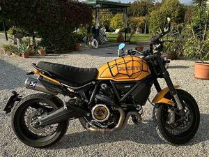 DUCATI SCRAMBLER 1100 TRIBUTE PRO ORO