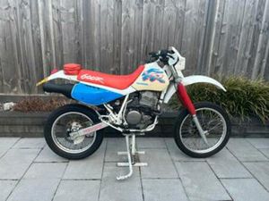 HONDA XR600 R 1993 — MOTOREN | HONDA — MARKTPLAATS