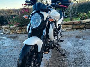 SUSUKI GLADIUS SVF650 A2 BLANCHE ROUGE