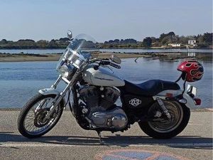HARLEY 883