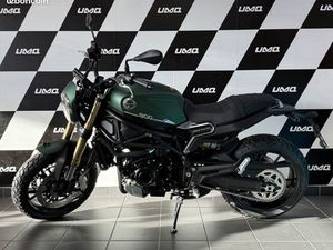 BENELLI LEONCINO 800