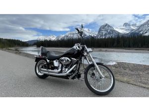 HARLEY DAVIDSON 2007 FXSTC SOFTAIL