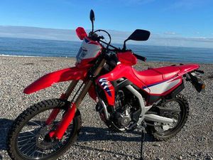 HONDA CRF300L 2025