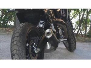 SCRAMBLER 800 NIGHTSHIFT (2023 - 25)