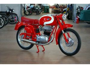 MV AGUSTA - AMERICA - 175 CC - 1957