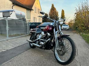 HARLEY DAVIDSON SPRINGER